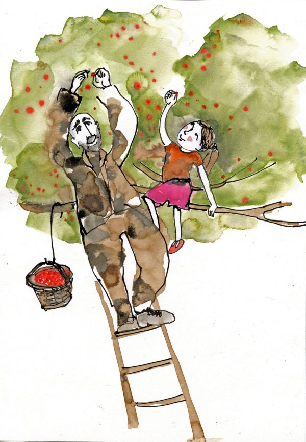 Le zébrâne a disparu – Image 6