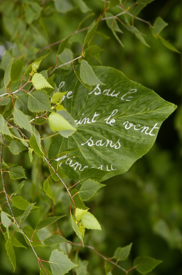 Les Jardins de Melle l'Épouvantaille – Image 13
