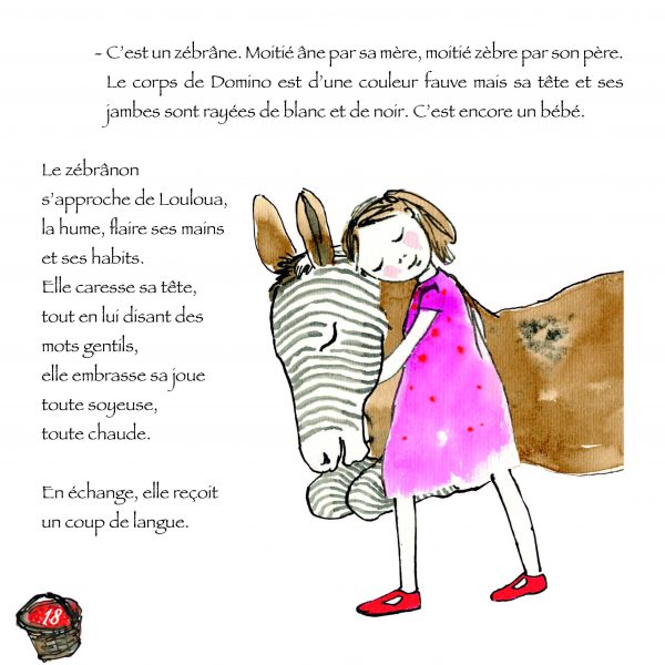 Le zébrâne a disparu – Image 8