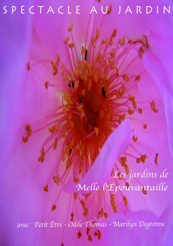 Les Jardins de Melle l'Épouvantaille – Image 10