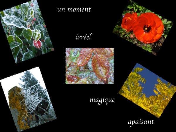 Les Jardins de Melle l'Épouvantaille – Image 22