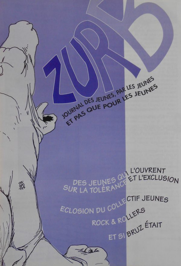 Journaux : Zurb, L'Écho D, Cap Suède, Oups, Les Cheffes... – Image 7