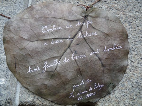 Au Pays des Maudits Mots Sauvages – Image 9